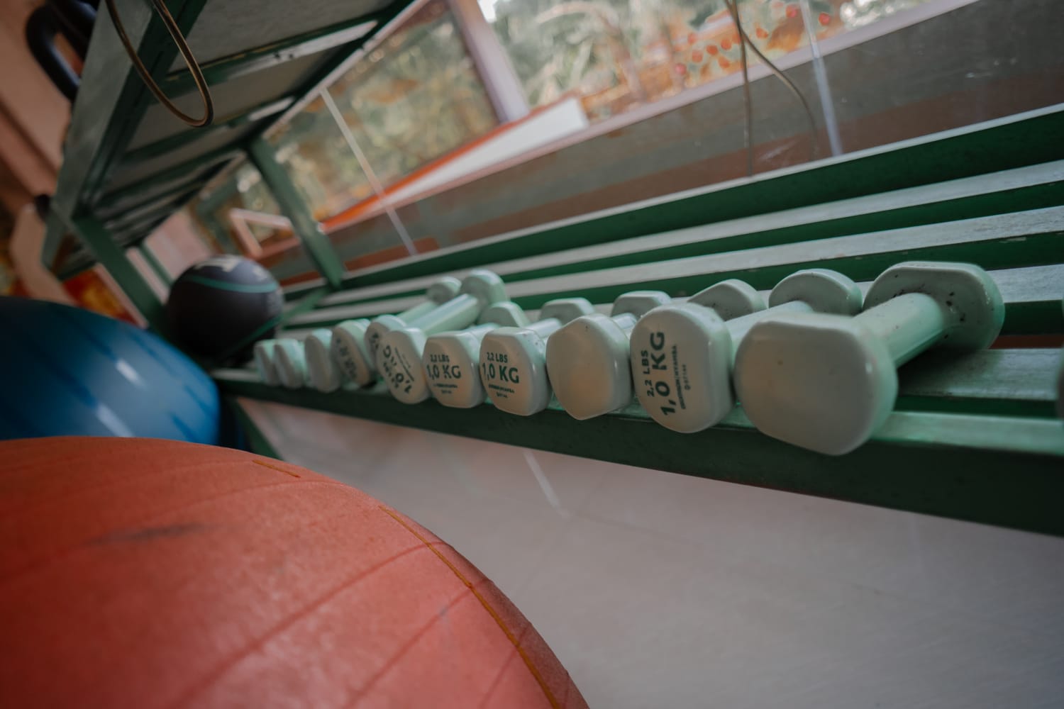 gym1