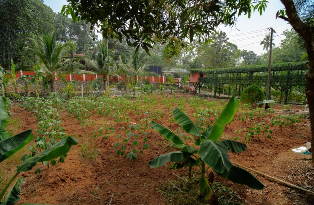 farm 4